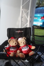 Silverstone bears