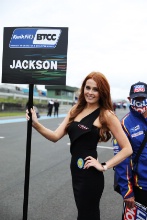 Ollie Jackson (GBR) - MB Motorsport Ford Focus ST Grid Girls