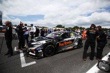 Gordon Shedden (GBR) - Halfords Racing with Cataclean Honda Civic Type R