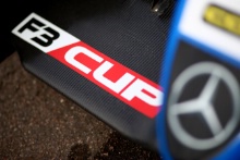 F3 Cup - Snetterton