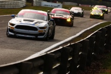 Scott Maxwell / Seb Priaulx Multimatic Motorsports Ford Mustange GT4