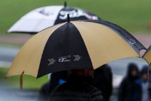 British GT umbrellas