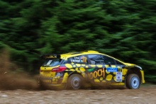 Seb Perez/ Gary McElhinney	Ford Fiesta Rally 2