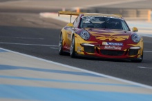 Dennis Olsen (NOR) Porsche GT3 Cup