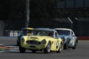 Silverstone Classic 28-30 July 2017At the Home of British MotorsportRAC Tourist Trophy for Pre 63 GT BINACHI Tony, BIANCHI Pia, Austin Healey Free for editorial use onlyPhoto credit –  JEP