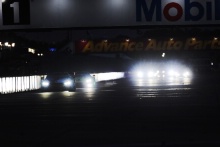 #81 BMW Team MTEK BMW M8 GTE: Martin Tomczyk, Nicky Catsburg, Alexander Sims