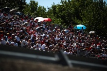 Fans at Monza