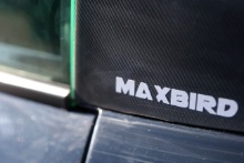 Max Bird Ginetta GT5