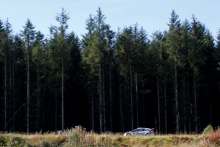 Matt Edwards (GBR) Swift Group British Rally driver