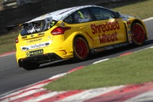 Tom Chilton (GBR) Team Shredded Wheat Racing with Duo Ford Focus