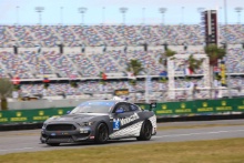 Scott Maxwell / Ty Majeski / Cole Custer - Multimatic Motorsports Ford Mustang GT4