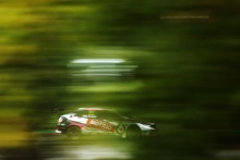 Scott Sumpton - Restart Racing Honda Civic Type R FK7 TCR